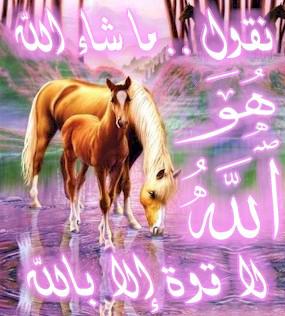 ma chaa lah
